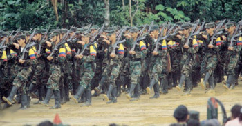 Colombian guerilla